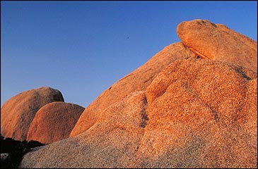 national park: Joshua Tree National Park