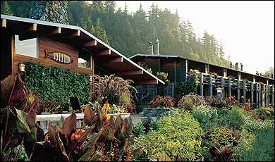 adventure lodges