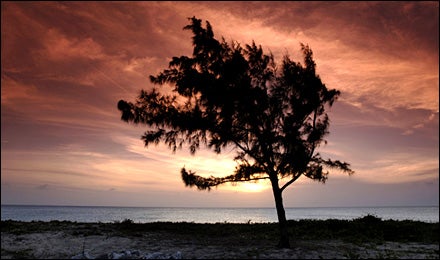 Turks and Caicos Islands