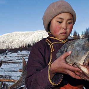 Mongolia's catch-and-release regulations for taimen are strictly enforced.
