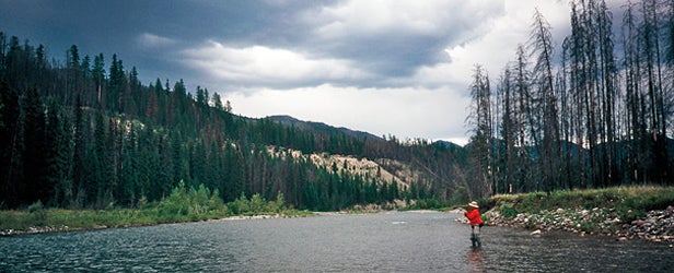South Fork of the Flathead