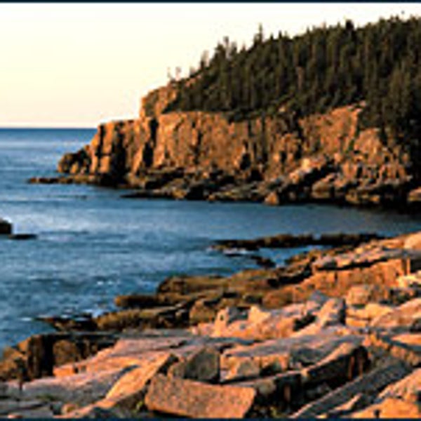 Acadia at dawn