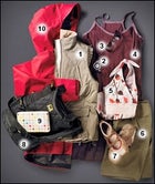 Womens Travel Gear Essentials