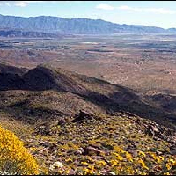 Anza-Borrego Desert State Park
