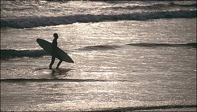 adventure sports camps Swimming, Scuba Diving, Surfing, Fly-Fishing, Sailing, Kiteboarding