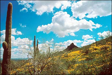 Tucson, Arizona