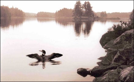 Minnesota's Boundary Waters Canoe Area