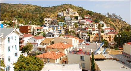 Catalina Island