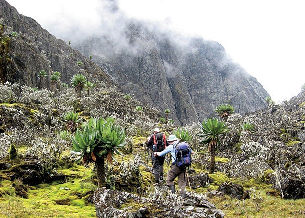 Mount Stanley Uganda