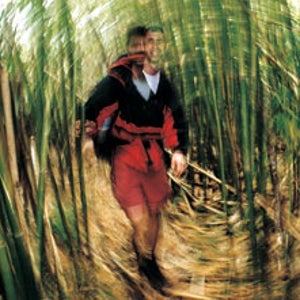 Tangled up in green: Caught in the scraggly cluthes of Alakai, the writer works his way toward a better understanding of da aina