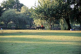 Green acres at the Virginia Tech pond