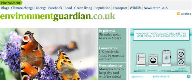 The Guardian Environment