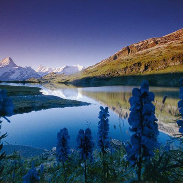 Swiss Alps