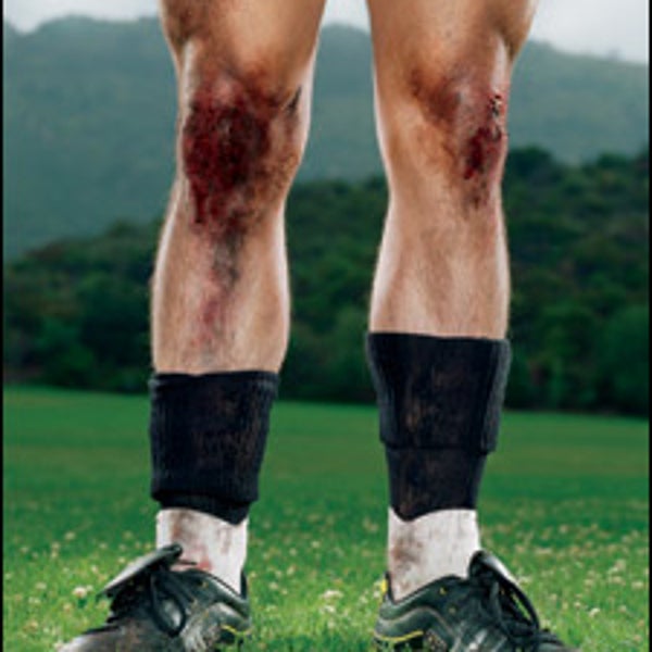 bodywork knees