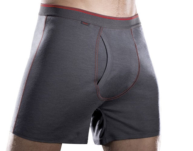 Icebreaker Beast Briefs