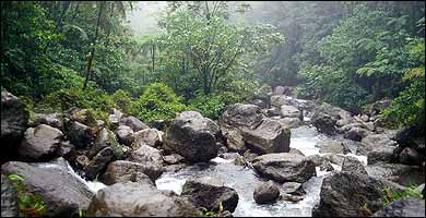 Dominica