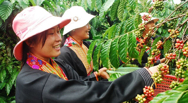 Rainforest Alliance