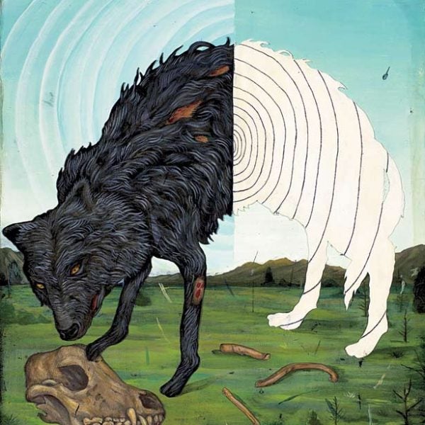 Wolf