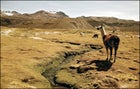 Greg Michaels in Bolivia
