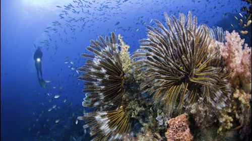 Raja Ampat, Indonesia