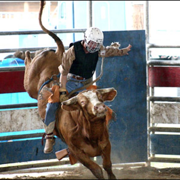 Rodeo Clown School