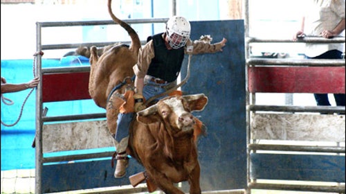 Rodeo Clown School