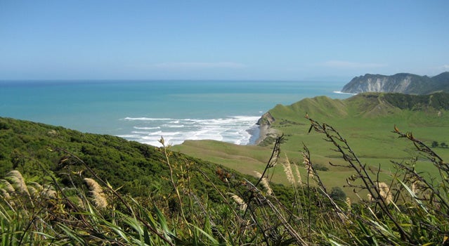 Te Araroa