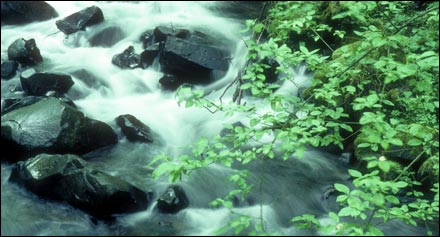 Hood River, Oregon