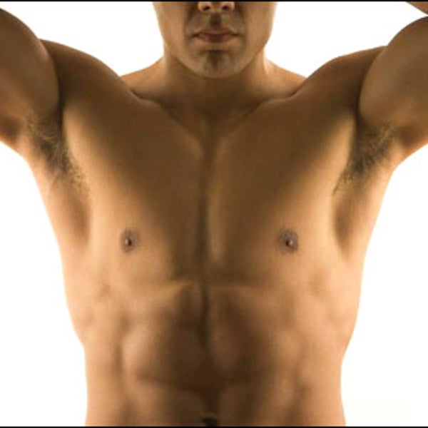Man's Torso