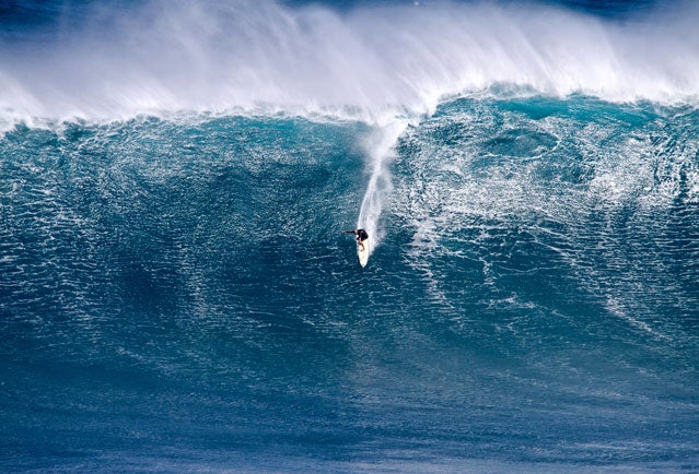 Shane Dorian at Jaws