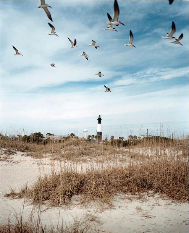 Tybee's coastline