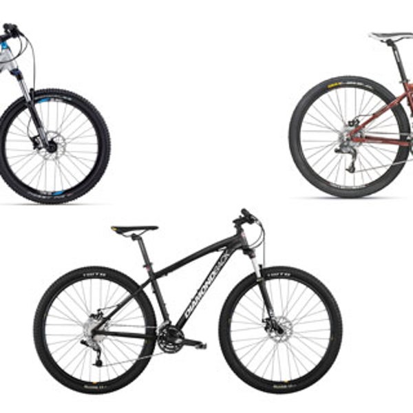 The best budget bikes