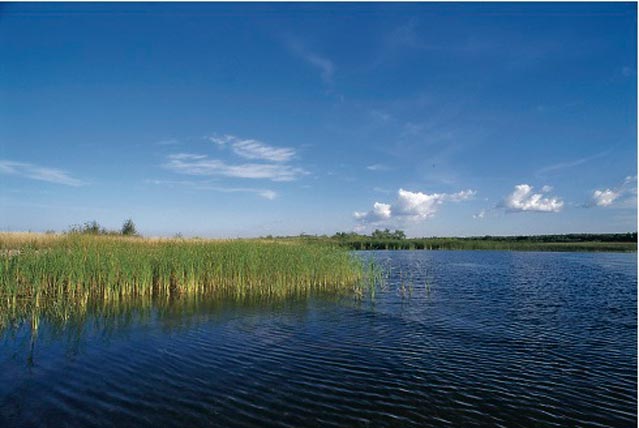 Lake of the Woods, Minnesota