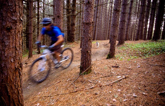 East Burke singletrack