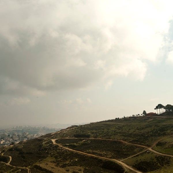 Mount Scopus.
