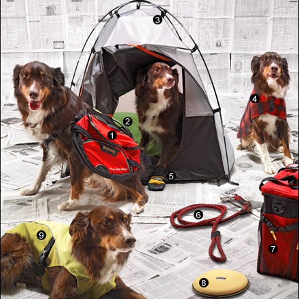 Dog Gear