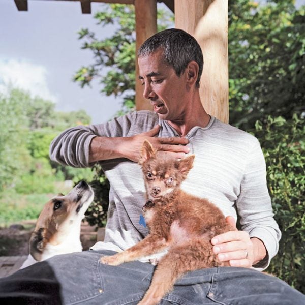 Animal Rescue