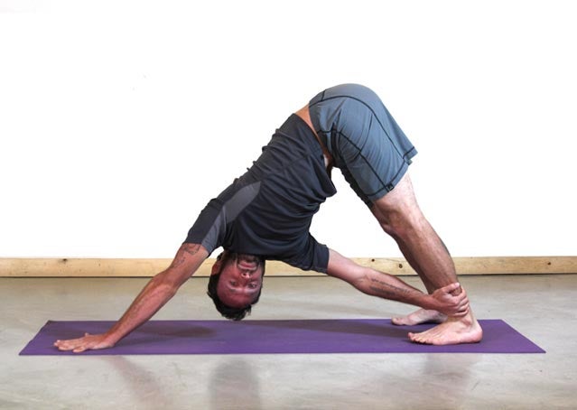 Down Dog Twist