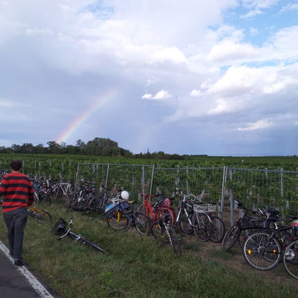 Germany Weinstraße Wine Street bikes alcohol wine