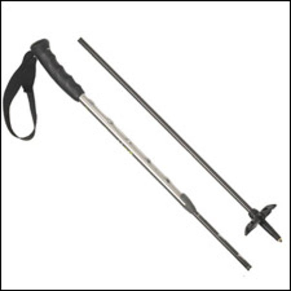 Indigo Epic Adjustable Ski Poles