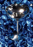 GSI Glacier Stainless Margarita Glass