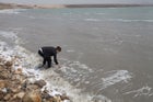 Knecht at the Dead Sea