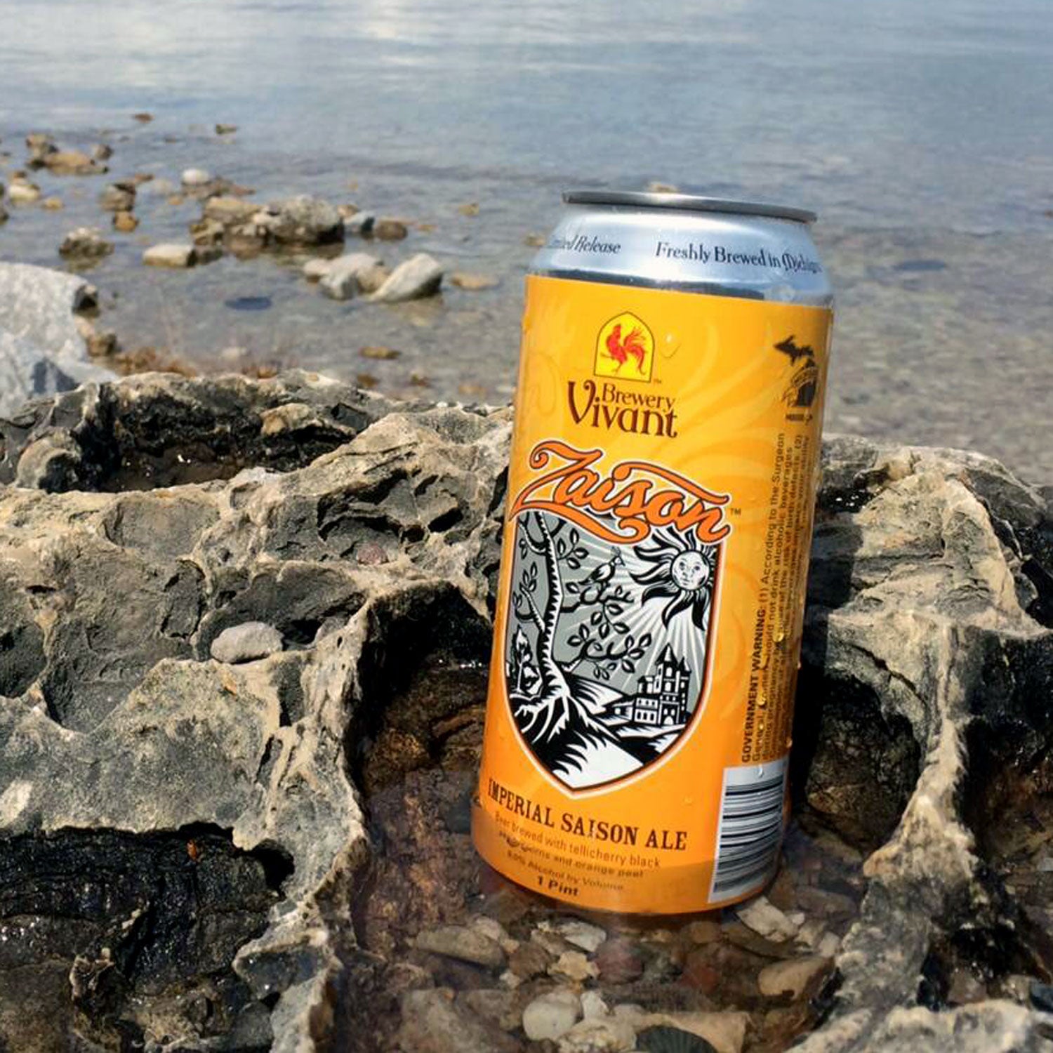 Brewery Vivant Abbey's single spring canned beer outside
