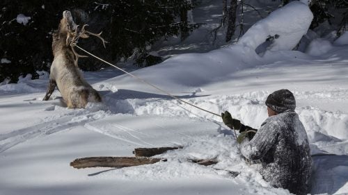 1 Person Altai Mountains Chasse Climatologie Climatology Color Photography Colour Couleur Day Ext�eur Exterior Fear Hiver Hunting Kazakhs Mongols Neige processed Sin Kiang Ski Skiing Snow Winter