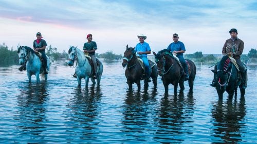 Drought Mexico Water desert farm pulse flow restoration river