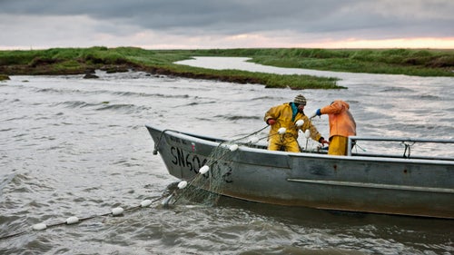 Alaska Bristol Bay Corey Arnold Coreyfishes Graveyard Point Wolf Tide art bay beauty in nature boat commercial fishing day environment fish work fish-work fisherman fishing gill net gillnet hauling high tide holding man motion nature net ocean outdoors pebble mine people photo photograph photographer photography photos portfolio pulling rain gear red salmon reds salmon sea skiff sockeye salmon struggling sunrise sunset three quarter length tide two people water wave work gear worker working