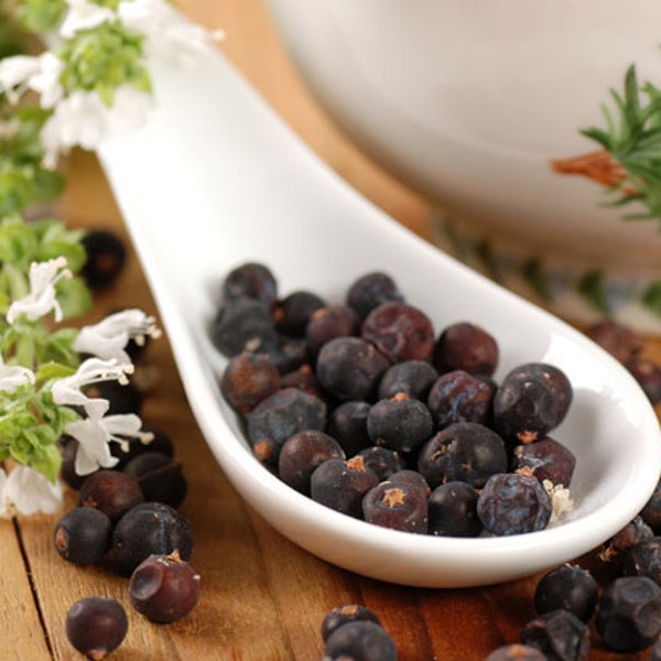 Ripe juniper berries