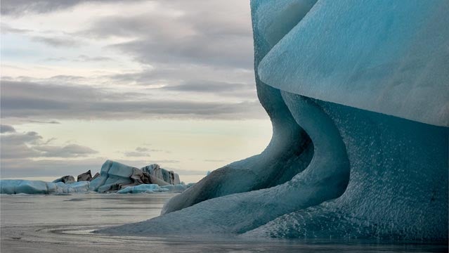 Melting bergs in Iceland.