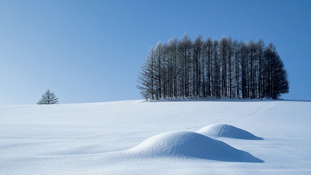 Mountains out of mole hills: skiing's unlikely new business model.