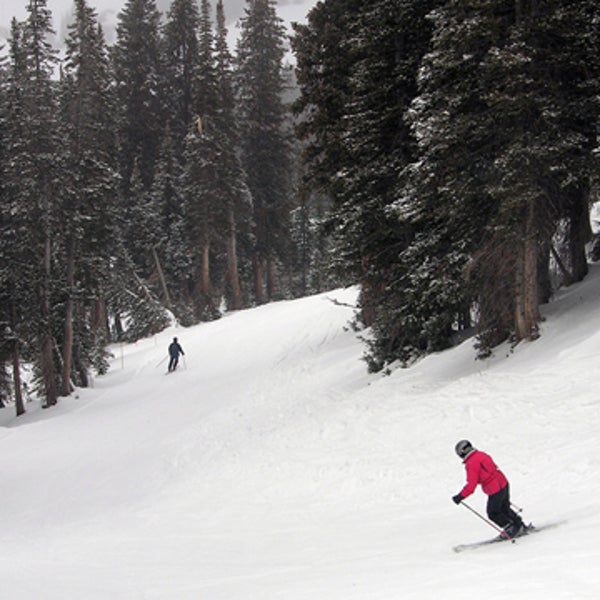 A groomed run at Alta.